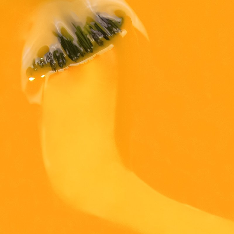 Verniz Gel Inocos Laurear a Pevide 15ml - Image 2