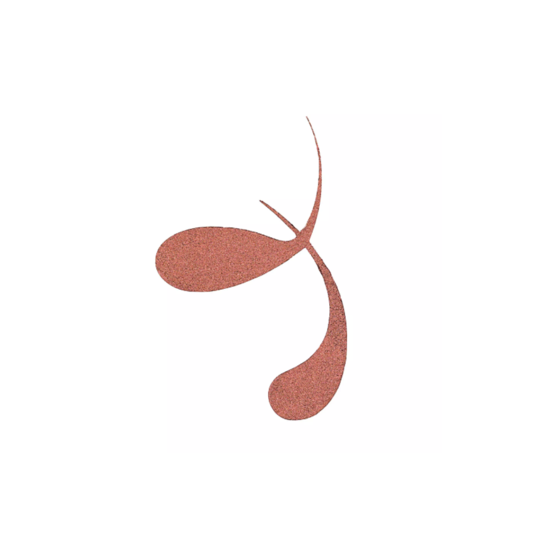 Essence Eyleiner Líquido Métalico 01 - Image 3